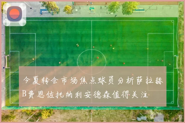 今夏转会市场焦点球员分析萨拉赫B费恩佐托纳利安德森值得关注