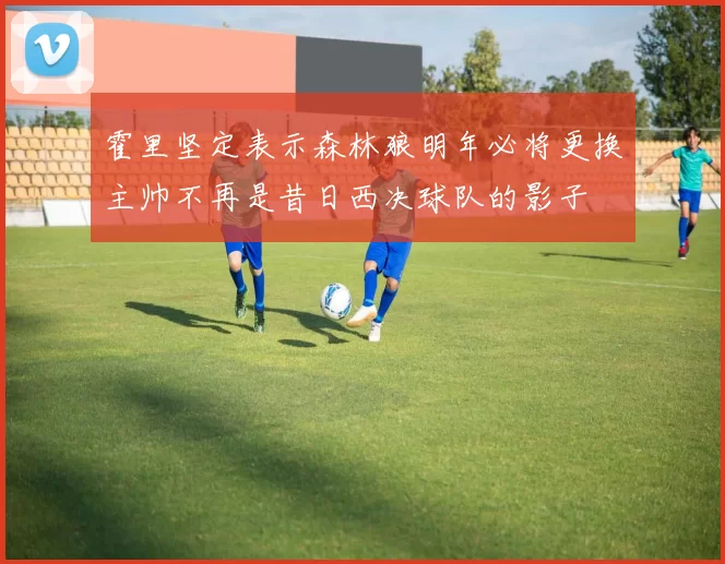 霍里坚定表示森林狼明年必将更换主帅不再是昔日西决球队的影子