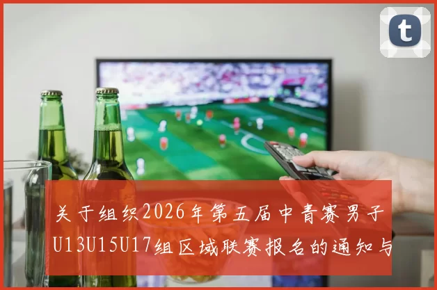 关于组织2026年第五届中青赛男子U13U15U17组区域联赛报名的通知与要求